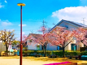 加古川市加古川町粟津にある 桜咲く大向公園 に花見に行ってきました 地元民が語る加古川ネタ知っとう まいぷれ 加古川市