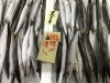 「魚魚市場鮮魚コーナーおすすめは「タイラギ」です♪」