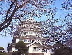 千葉でお花見するならここ 千葉市の桜情報 22年 お花見するならここ 千葉 船橋 市川 習志野 鎌ケ谷の 桜 特集 22年 まいぷれ 千葉市 千葉でお花見するならここ 千葉市の桜情報 22年 お花見するならここ 千葉 船橋 市川 習志野 鎌ケ谷の 桜 特集 22年 まいぷれ 千葉市