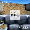 「取り扱い商品のご紹介！ノーストレーディング」