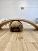なんでも上手にこなす　もっちーちゃん😃「ましゅまろ幼稚園🐾パート２」