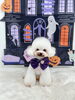 クレアちゃん「Happy Halloween 2026🎃＆サロン予約状況」