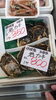「岩牡蠣始まりました」