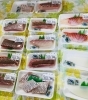 「魚魚市場鮮魚コーナーおすすめは「生うに・カナトフグ」です♪」