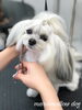 「秋のオプションキャンペーン　^o^」