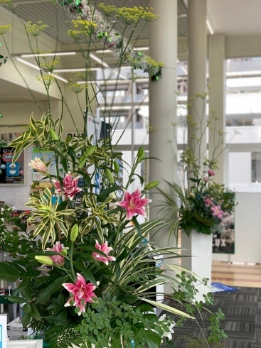 静岡市花屋 花仕事ヴェルデ お気に入り旬の花入荷情報 花仕事 ヴェルデのニュース まいぷれ 静岡市 静岡市花屋 花仕事ヴェルデ お気に入り旬の花入荷情報 花仕事 ヴェルデのニュース まいぷれ 静岡市