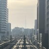 「東京は既につぼみが出ていたりしています！」
