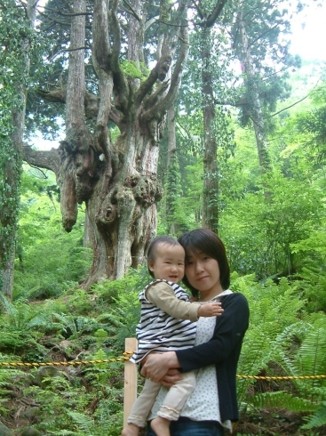 隠岐島「乳房杉」で　１歳の長女と　（１５年以上前）「＊　人生の転換期　①」