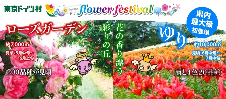 東京ドイツ村 フラワーフェスティバル 茂原市 長生郡 おでかけ観光情報 まいぷれ 茂原市 長生郡