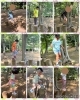 「🌴aloalo🌴公園🌺」