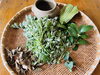採れたれの野草。お客さまに合った野草、量を調合！「30分で大量の汗！浄化とデトックスはここでできます[よなご野草蒸し]」
