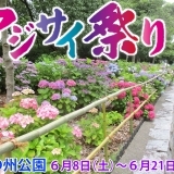 坂出市民憩いの公園！番の州公園 第5回 アジサイ祭り2019