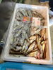 「日はハタハタが約３００キロ入ってきたので1日中頭切ります🐟️🐟️」