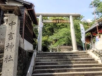 小路の突き当りに石段が。中言神社は小高い場所にあります。