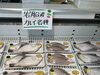 「本日のお魚」