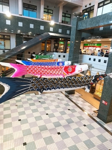 プララ杉田に鯉のぼり まいぷれ編集部が行く イソカナ活動日記 まいぷれ 横浜市磯子区 金沢区 プララ杉田に鯉のぼり まいぷれ編集部が行く イソカナ活動日記 まいぷれ 横浜市磯子区 金沢区