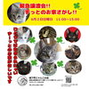 【告知】「城下町にゃんこの会」緊急譲渡会　6月2日(日)