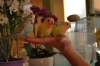 手乗りインコも販売しております。「トリミング＆ペットショップ ＷＡＮ！チャンス（ワンチャンス）」