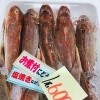 「魚魚市場鮮魚コーナーおすすめは「ビンチョウマグロ」です♪」