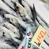 「魚魚市場鮮魚コーナーおすすめは「シャコ・ビンチョウマグロ」です♡」