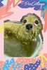 「Dog salon mofu mofu　余市町」