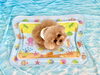 つぐおくん「波とわんこ🌊＆サロンから」