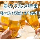 夏のグルメ特集　ビール！枝豆！からあげ！【まとめ】