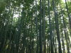 「夜8時まで受付しています！」
