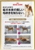 「ついに登場！！柴犬専用」