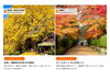 「秋の絶景を満喫！和歌山のおすすめ紅葉＆秋の行楽スポット特集」