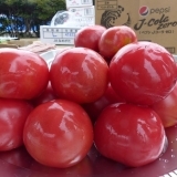行方市の特産品「トマト」を食べよう！