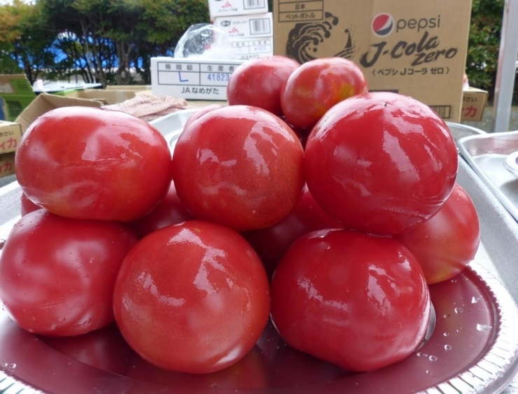 ドド～ン！　テーブルに置かれた桃太郎トマト！　これで2kgです。(玉数で約9個)