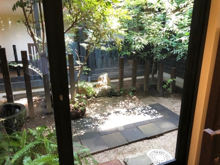 席からみた中庭。木漏れ日がキラキラ降り注いでいます。