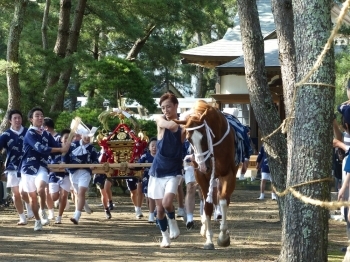 八坂神社 麻生祇園馬出し祭り が開催されました なめがたダイアリー なめがた日和 行方市