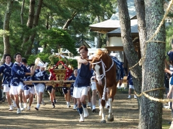 暴れる馬(ヤマタノオロチ)を退治しようと追いかける神輿(スサノオノミコト)