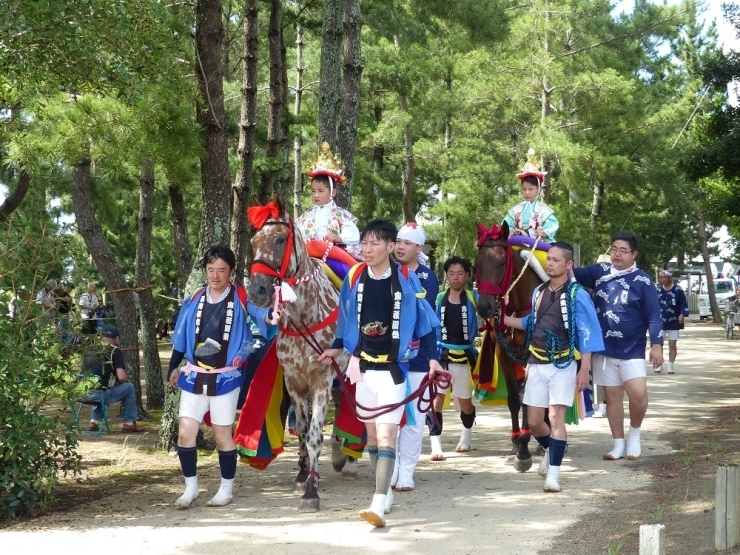 お稚児さんを乗せる馬を「稚児馬」と呼びます。　馬の手綱を引いているの(水色法被)が「はんな」と呼ばれる人達です。