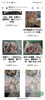 「冷凍のカニがお買い得‼️‼️」
