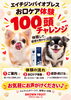 「10月11日イベント出店！わんちゃんのお口ケア体験ブースでお待ちしています」