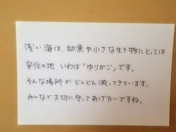 生き物への思いやりが感じられるメッセージです。