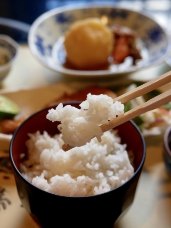 大きめの飯椀にたっぷりのご飯