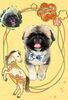 「Dog salon mofu mofu　余市町」