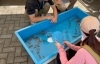 「【第53回　江戸川区特産金魚まつり開催】江戸川区といえば金魚！「金魚まつり」が今年もアツイ！1.5倍に拡大@行船公園（maruちゃん）」