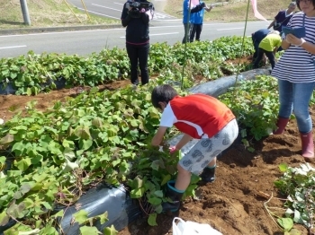 ツルは、脇に寄せます。