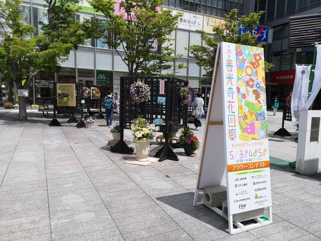 長野市 まいぷれ