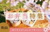 激レア限定15枚お花見お弁当カーにゃんこパネル生地　ハンドメイド 2026年版｜お花見にぴったりのお弁当をご紹介します！【松山】 | 春の