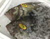「魚魚市場鮮魚コーナーおすすめは「カワハギ」です♪」