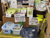 「本日も営業致します」