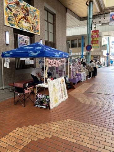 体の不調あきらめないで「肩こりさん、腰痛もちさん大集合」