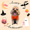 「Dog salon mofu mofu　余市町」