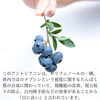 ブルーベリー「ブルーベリーで目の健康をサポート♪　～快適な視生活をあなたに～」